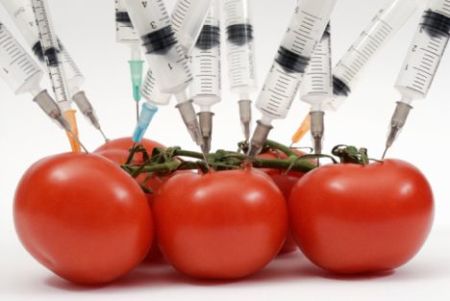 Quali sono gli alimenti più a rischio batteri?