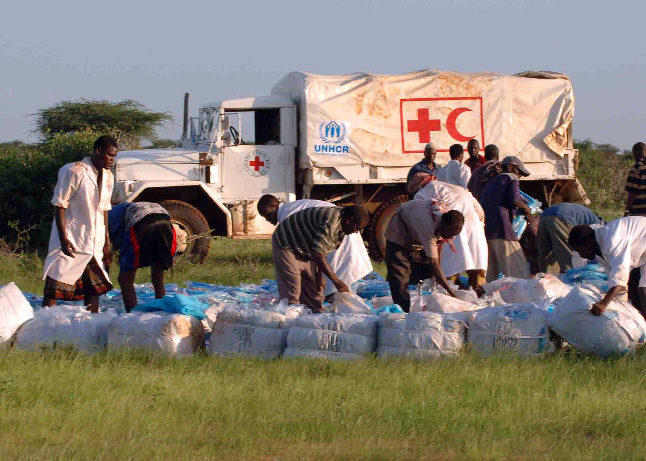 Che cos’è e come lavorare per Unhcr