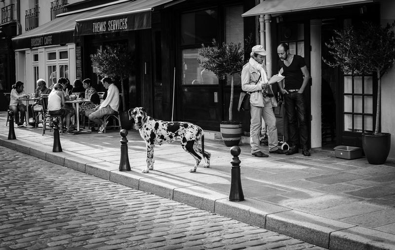 La fotografia di strada a portata di tutti
