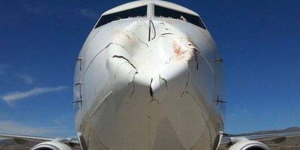 Aereo colpisce uccello in volo