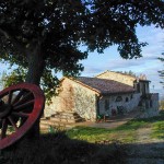 Energia rinnovabile per l’agricoltura