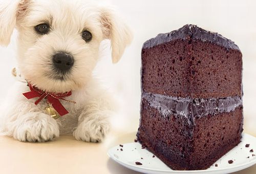 I pericoli del cioccolato fondente