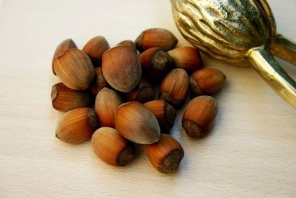 Come tostare le nocciole fesche