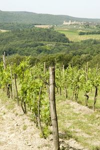 Dove fare un viaggio enogastronomico