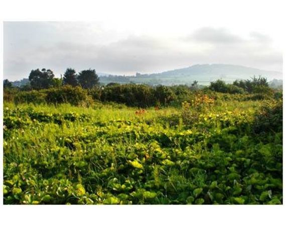 Consigli di viaggio per andare in Irlanda