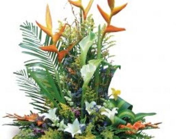 Il significato dei colori dei fiori