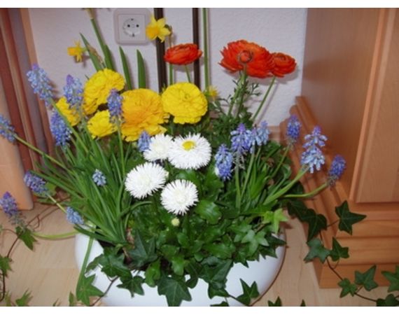 Come decorare la vostra casa per la primavera