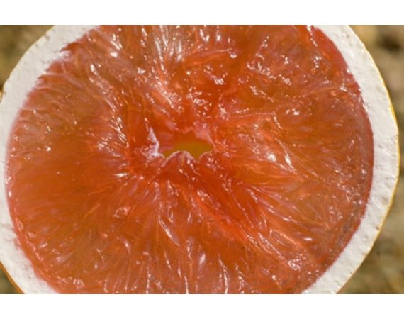 Come fare la dieta del pompelmo