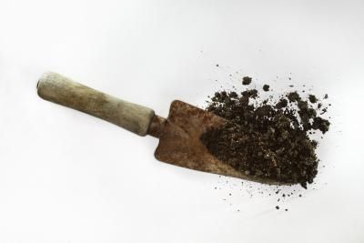 Come controllare gli insetti nel terriccio dei vasi