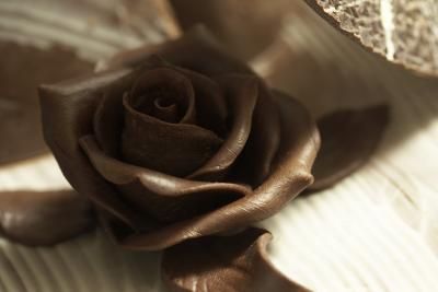 Decorazioni fatte con il cioccolato da modellare