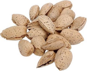 Come congelare la pasta di mandorle