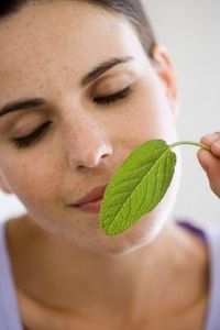 Come fare un'acqua depurativa con cetriolo, menta e radice di zenzero