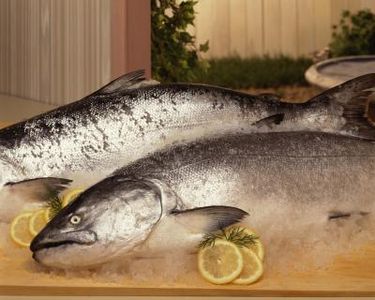 Ricette: Come preparare il salmone al limone