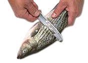 Come pulire un pesce