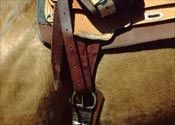 Come sellare un cavallo