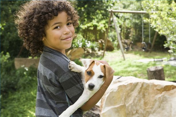 Come educare i bambini al rapporto con gli animali
