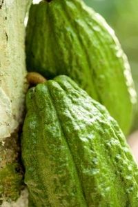Come togliere buccia e semi alla papaya