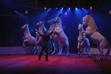 Come unirsi ad un circo