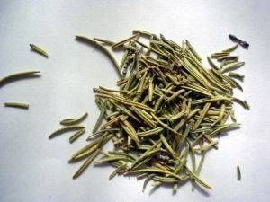 Come fare l'olio di rosmarino per la pelle
