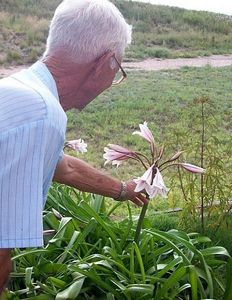 Fasi del morbo di Alzheimer