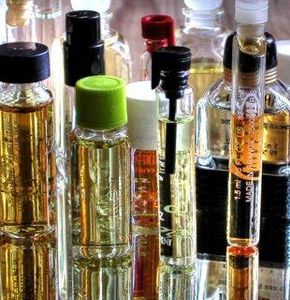 Come estrarre l'olio dal rosmarino