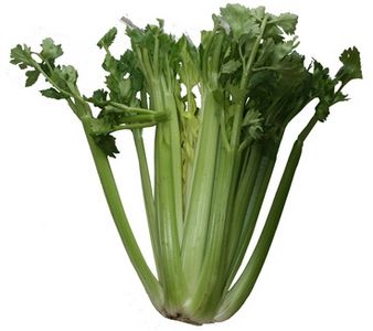 Guida nutrizionale sul sedano