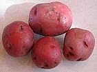 Come conservare le patate e le cipolle durante l'inverno