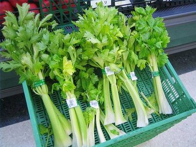 Valori nutrizionali del sedano