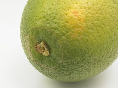 Rischi con il succo di lime