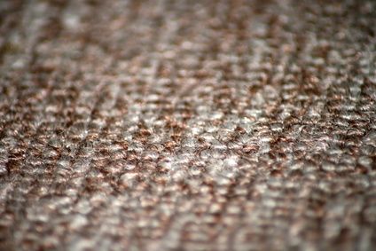 Come eliminare l'odore di muffa dalla moquette di una cantina