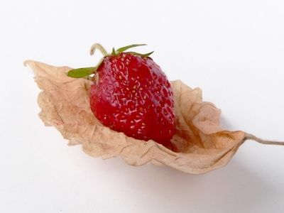 i 10 migliori alimenti per perdere peso