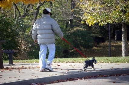 Cosa fare se il cane tira al guinzaglio