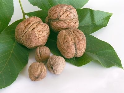 Come fare le noci candite