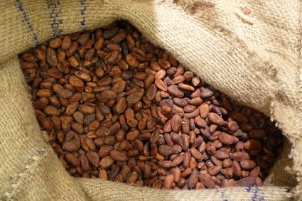 Come far sciogliere le scaglie di cioccolato aggiungendo dell'olio