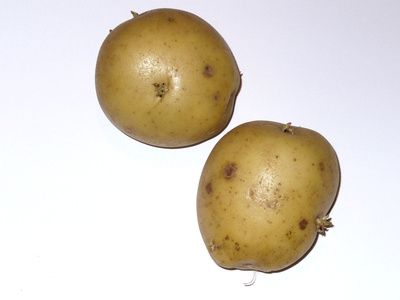 Come conservare le patate novelle