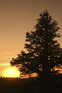 Dipingere un tramonto