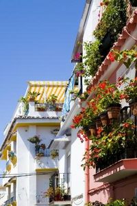 Cosa coltivare sul balcone