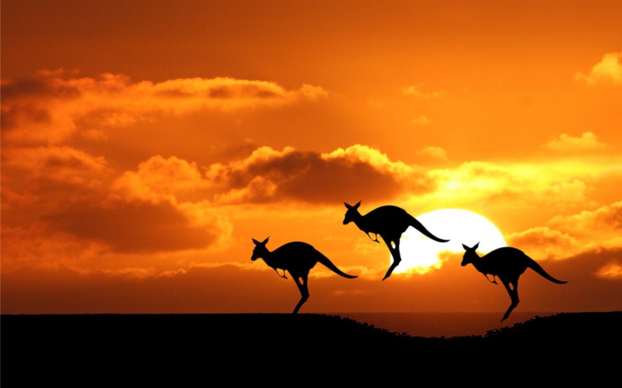 Come organizzare un viaggio in Australia