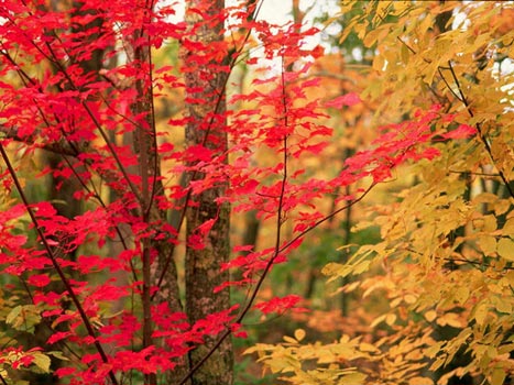 Qual è il significato dell’Equinozio d’autunno?