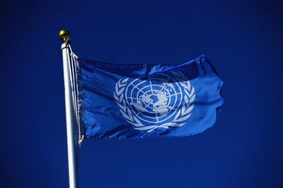 Che cos’è Protettorato ONU