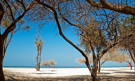 Le spiagge più belle del Bahrain