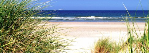 Le spiagge più belle dell'Olanda
