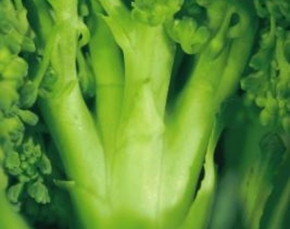 Come fare un'insalata di broccoli facile