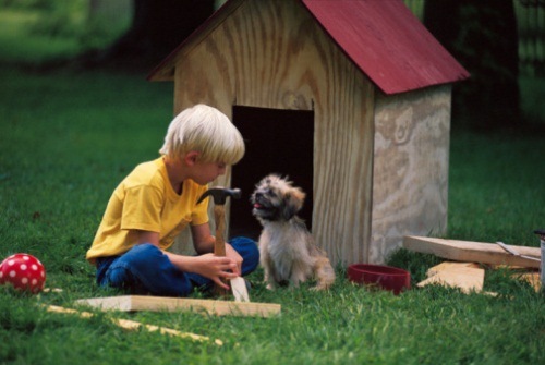 Comeme preparare la cuccia del cane
