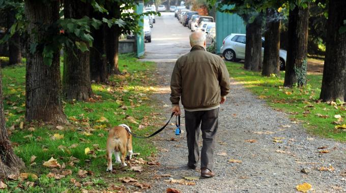 Quante volte il proprio cane sente la necessità di uscire