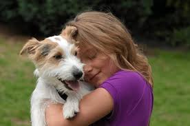 Come educare un cane in spiaggia