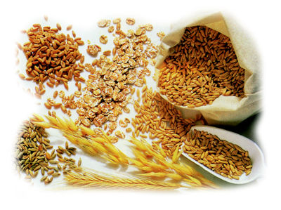 Consigli per la scelta di una nutriente colazione con cereali