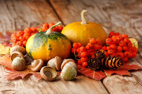 Cibi che rinforzano sistema immunitario in autunno