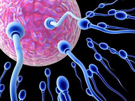 Come aumentare la fertilità