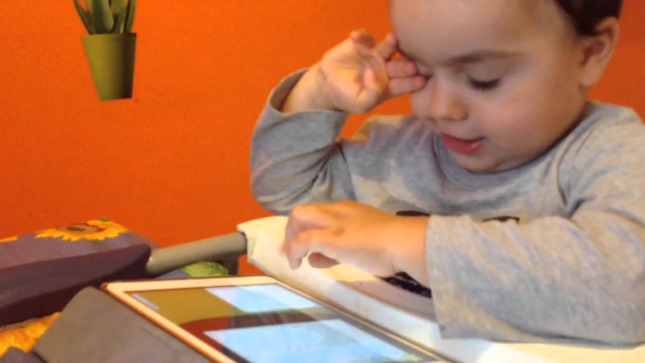 Come funziona Contabosco di Focus?